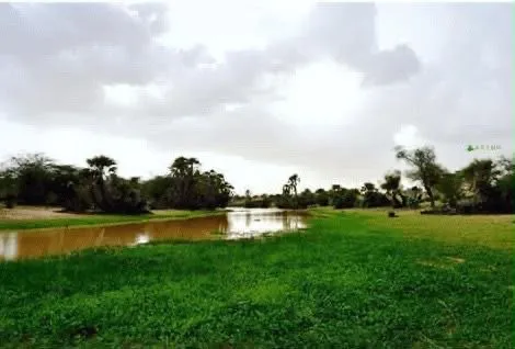 مقاييس الامطار على خمس ولايات
