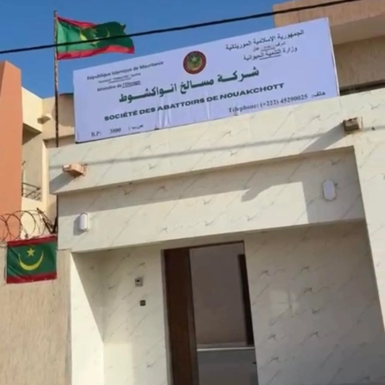العثور على حيوانات مذبوحة بطريقة غير شرعية (جيفة)
